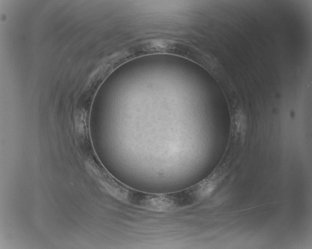 X0000053090423200507111202