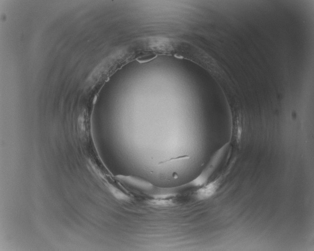 X0000053090424200507111202