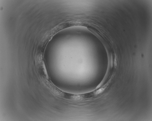 X0000053090425200507111202