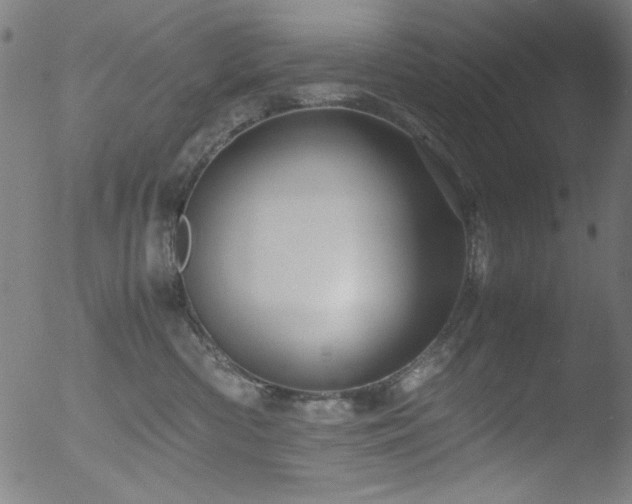 X0000053090426200507111202