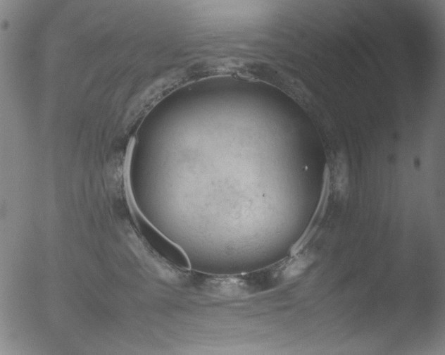 X0000053090427200507111202