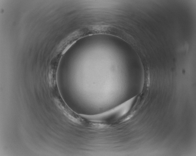 X0000053090428200507111202