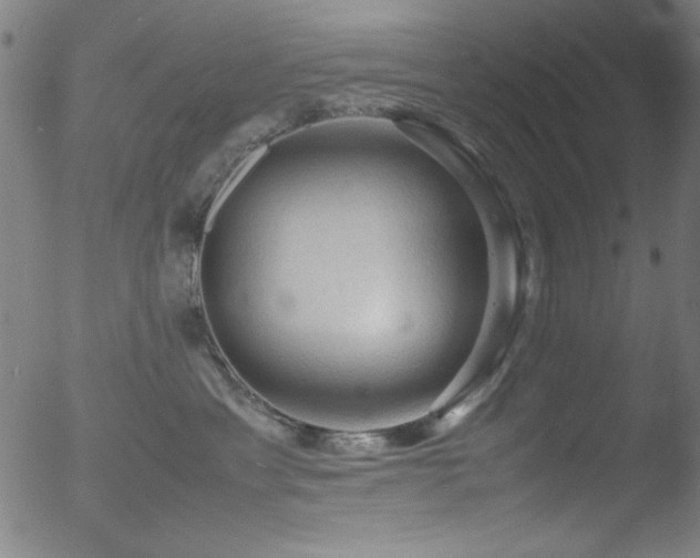 X0000053090429200507111202