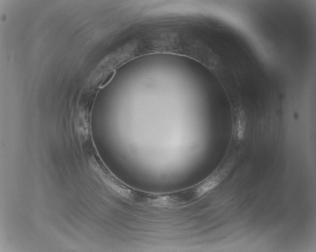 X0000053090430200507111202