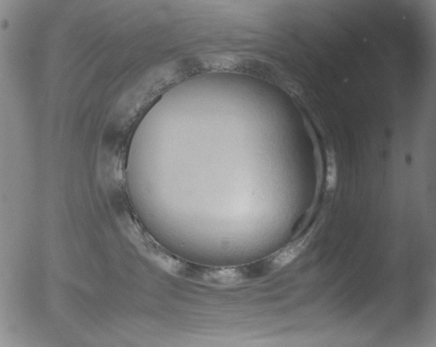 X0000053090431200507111202