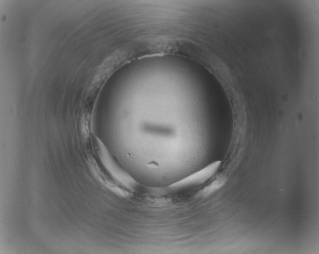 X0000053090432200507111202