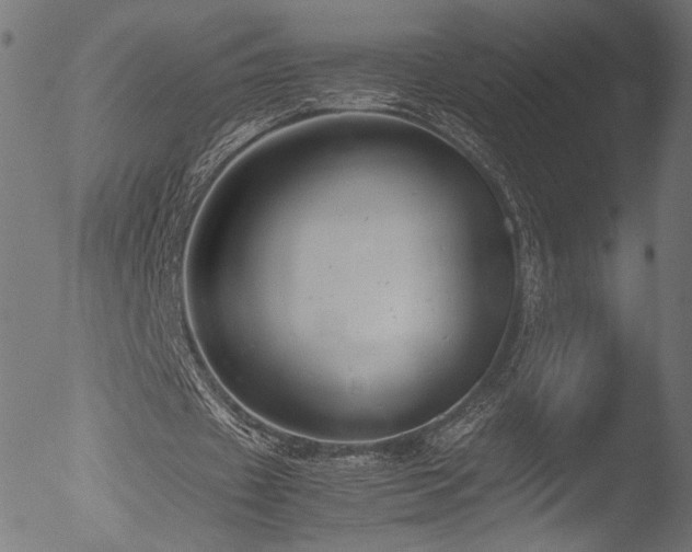 X0000053090433200507111201