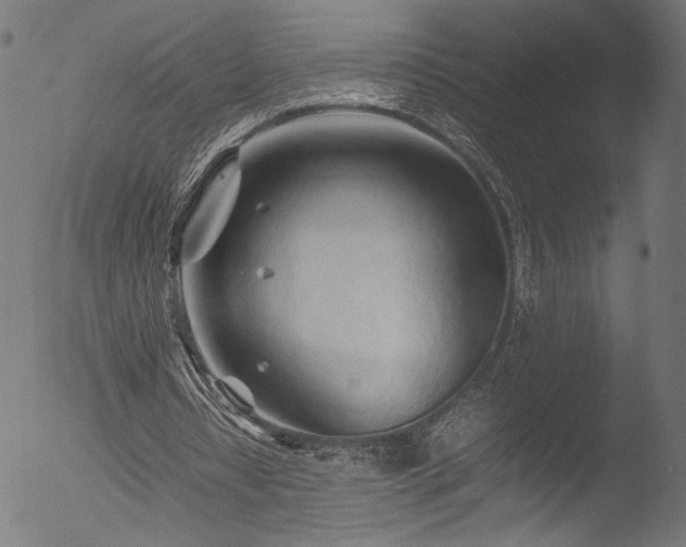 X0000053090434200507111201