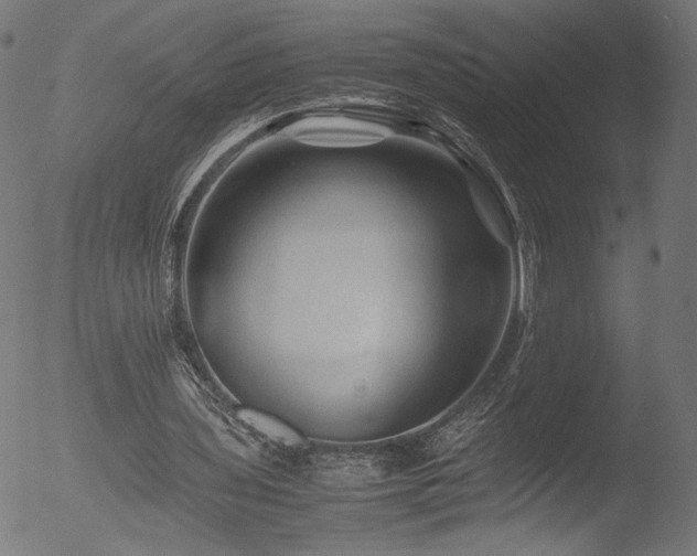 X0000053090435200507111201