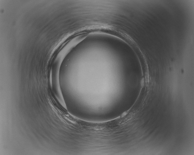 X0000053090436200507111201