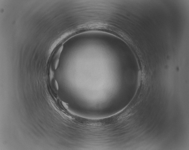 X0000053090438200507111201