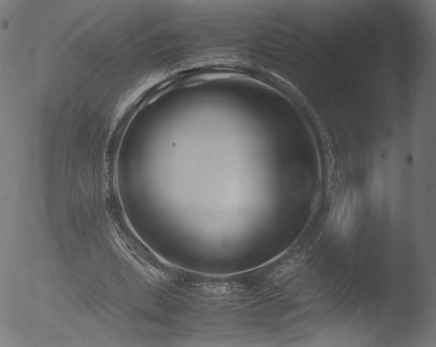 X0000053090439200507111201