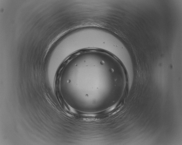 X0000053090440200507111201