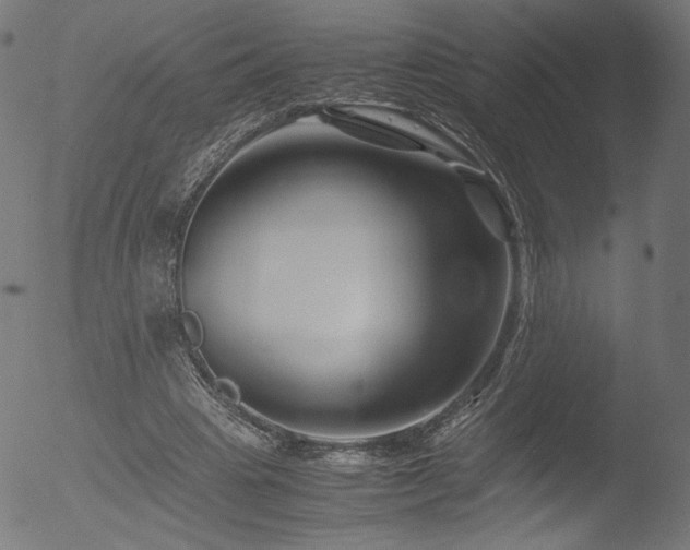 X0000053090441200507111201