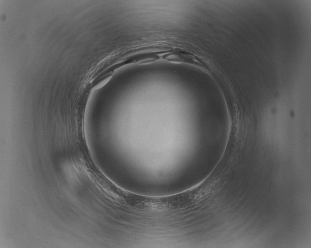 X0000053090442200507111201