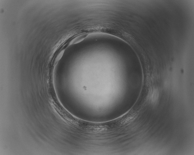 X0000053090443200507111201