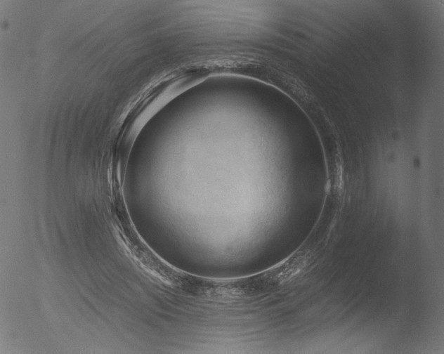 X0000053090444200507111201