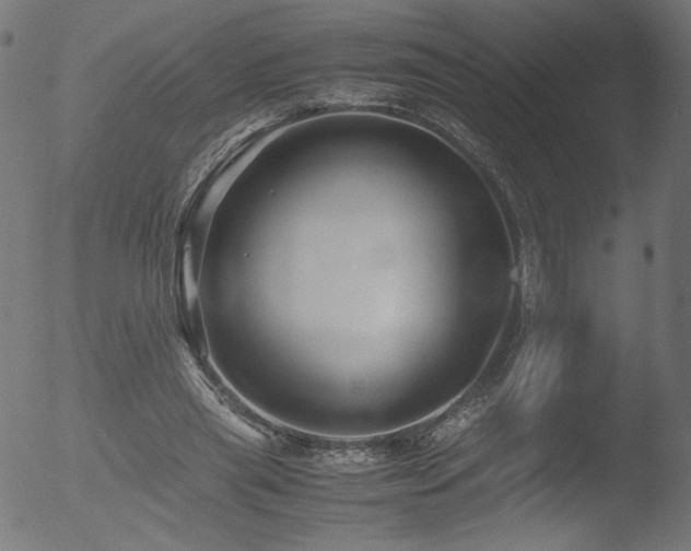 X0000053090445200507111202