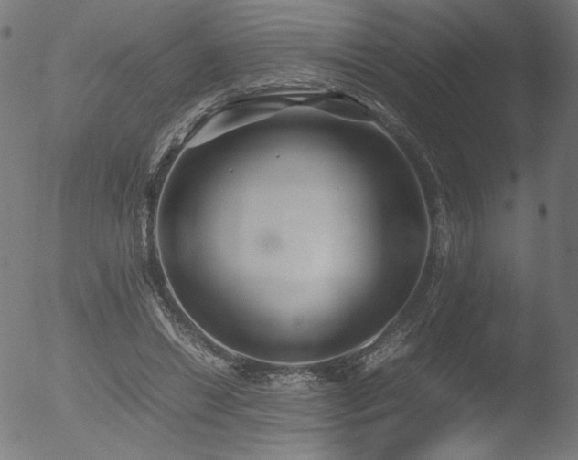 X0000053090446200507111202