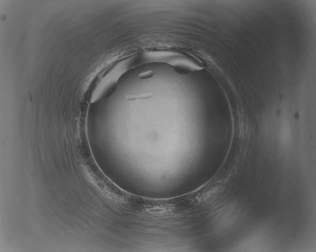 X0000053090447200507111202