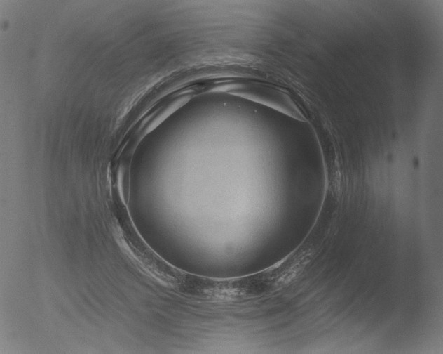 X0000053090448200507111202