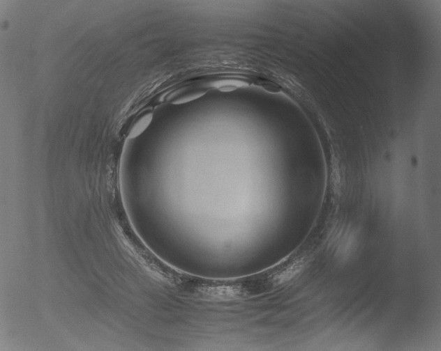 X0000053090449200507111202