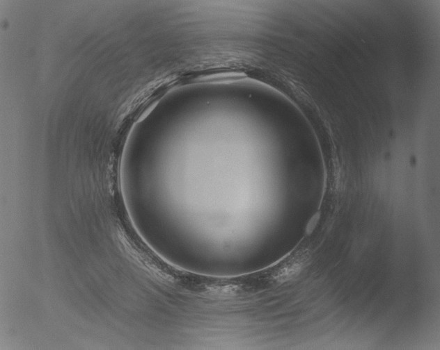 X0000053090450200507111202