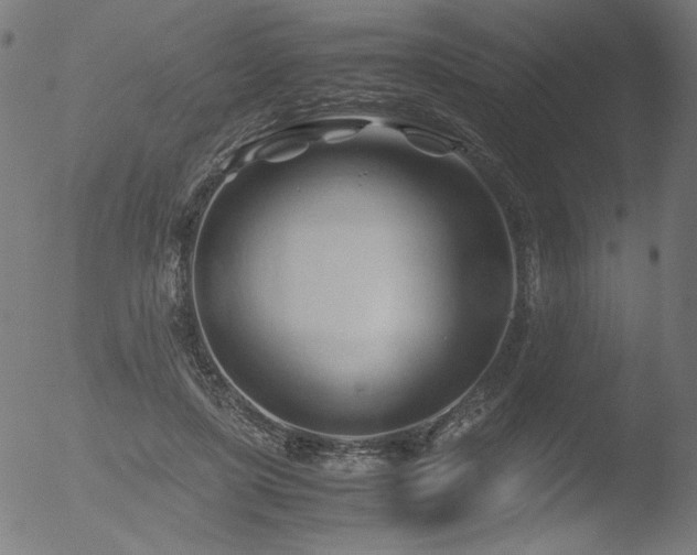 X0000053090451200507111202