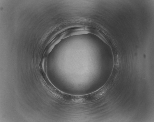 X0000053090452200507111202