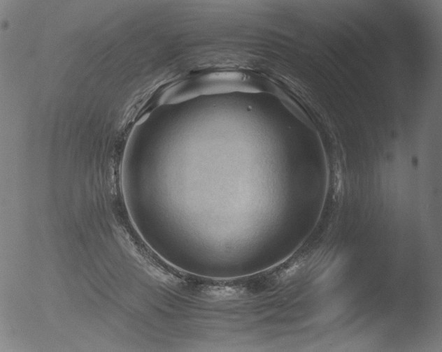 X0000053090453200507111202