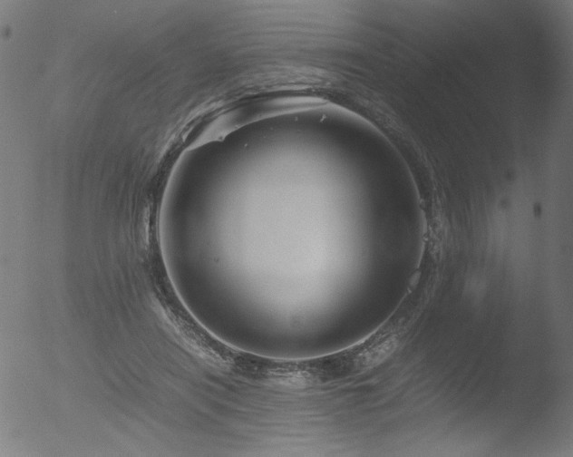 X0000053090454200507111202