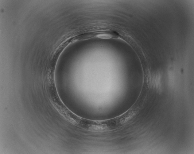 X0000053090455200507111202