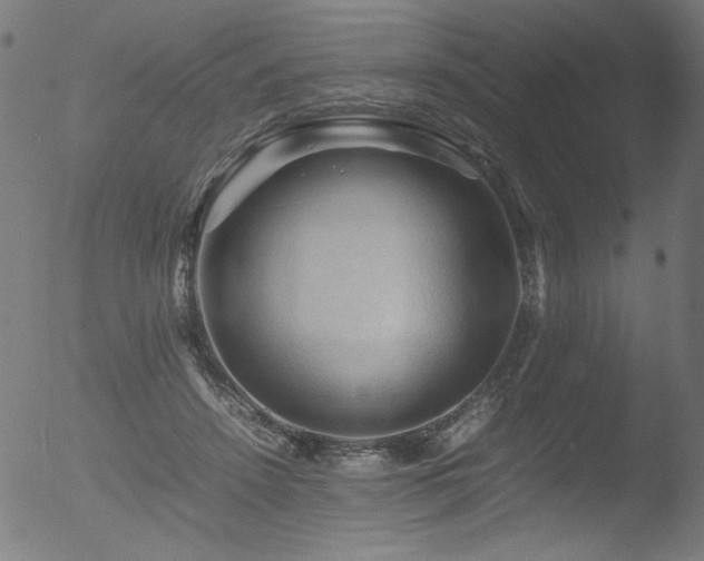 X0000053090456200507111202