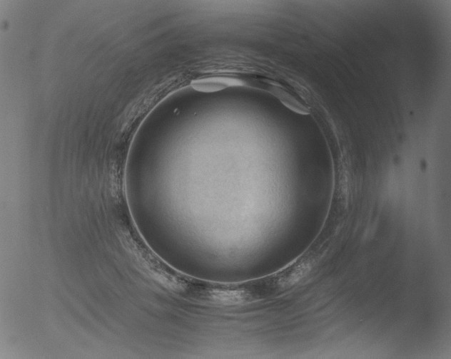 X0000053090457200507111202