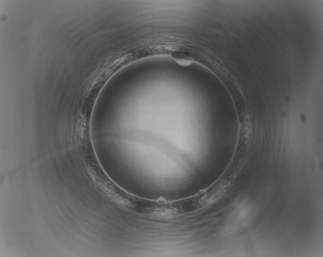 X0000053090458200507111202