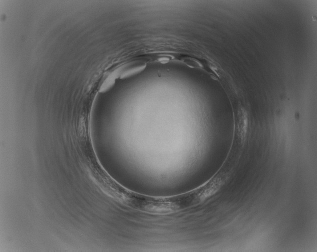 X0000053090459200507111202