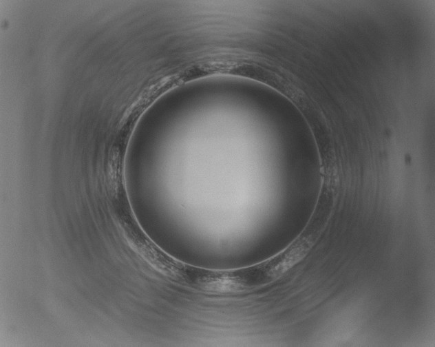 X0000053090460200507111202