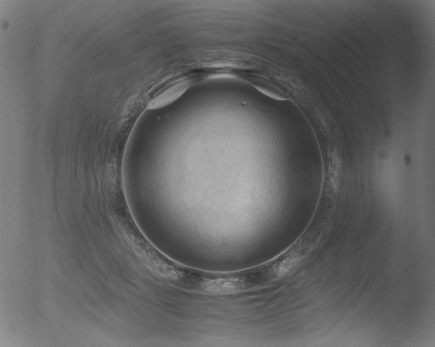 X0000053090461200507111202