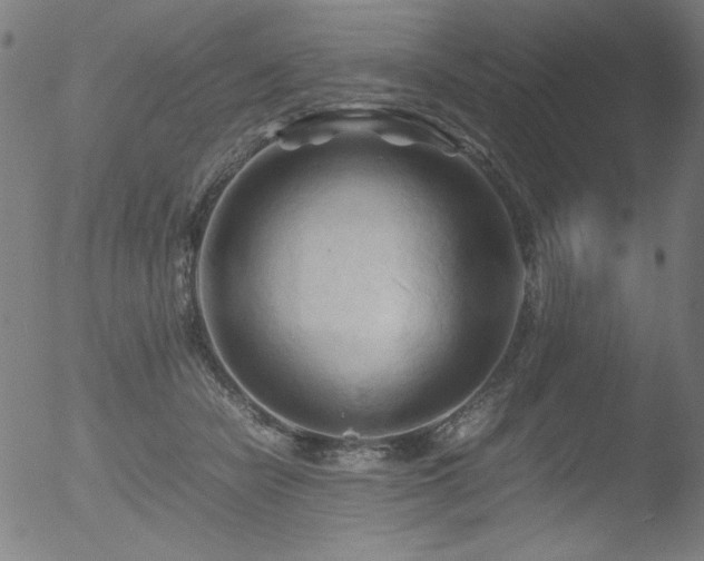 X0000053090462200507111202