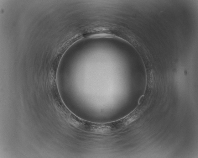 X0000053090463200507111202