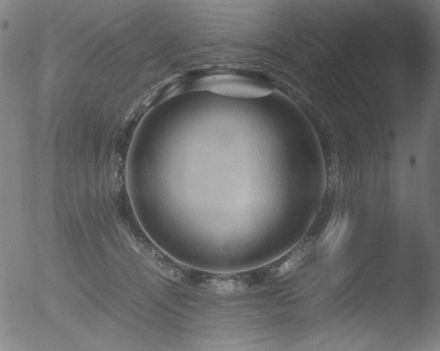 X0000053090464200507111202