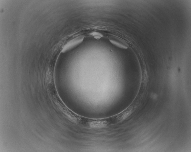 X0000053090465200507111202