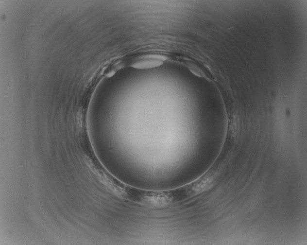 X0000053090466200507111202