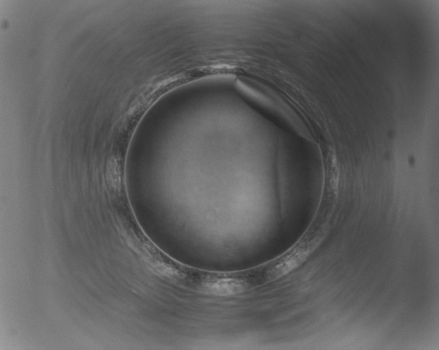 X0000053090467200507111202