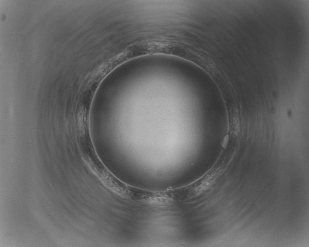 X0000053090468200507111202