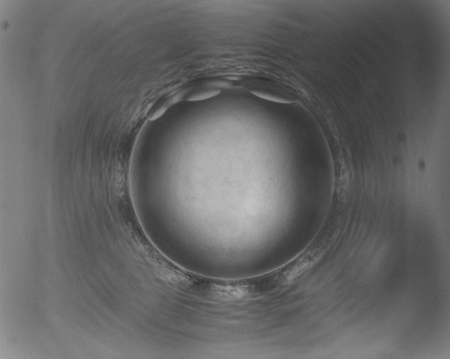 X0000053090469200507111202