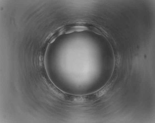 X0000053090470200507111202