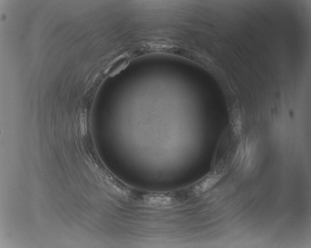 X0000053090471200507111202