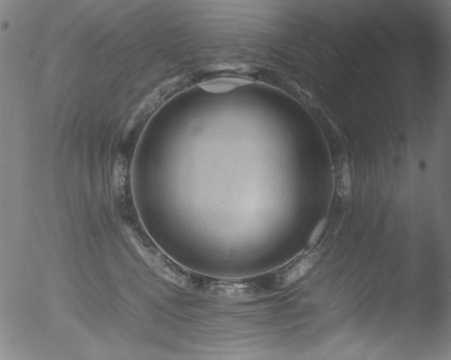 X0000053090472200507111202