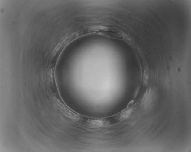 X0000053090473200507111202